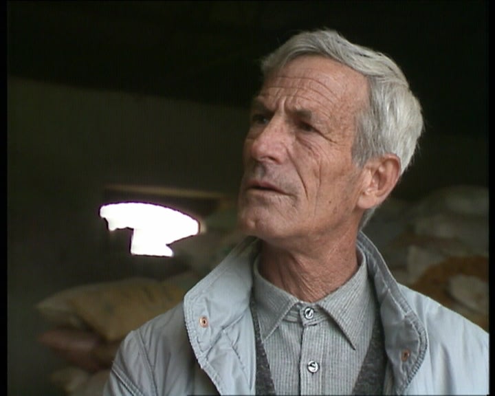 A quinzena da amendoeira em flor