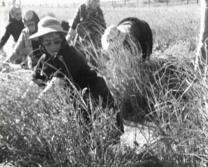 Reforma Agrária e problemas dos camponeses