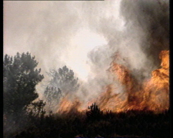 Incêndios florestais em Vila Real