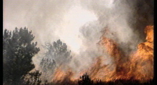 Incêndios florestais em Vila Real