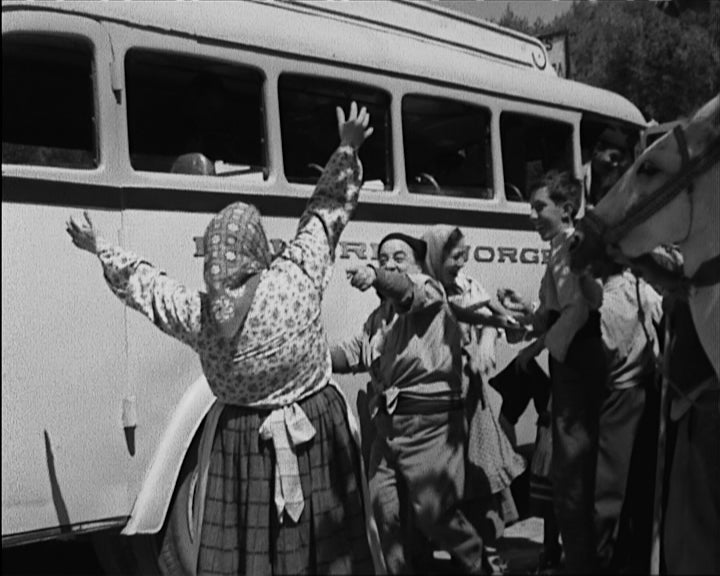 Viva os 3 saloios de Vale de Lagartos