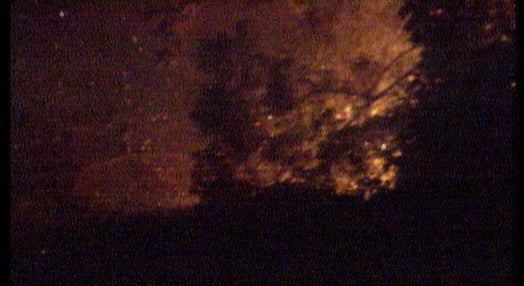 Incêndio florestal na Madeira