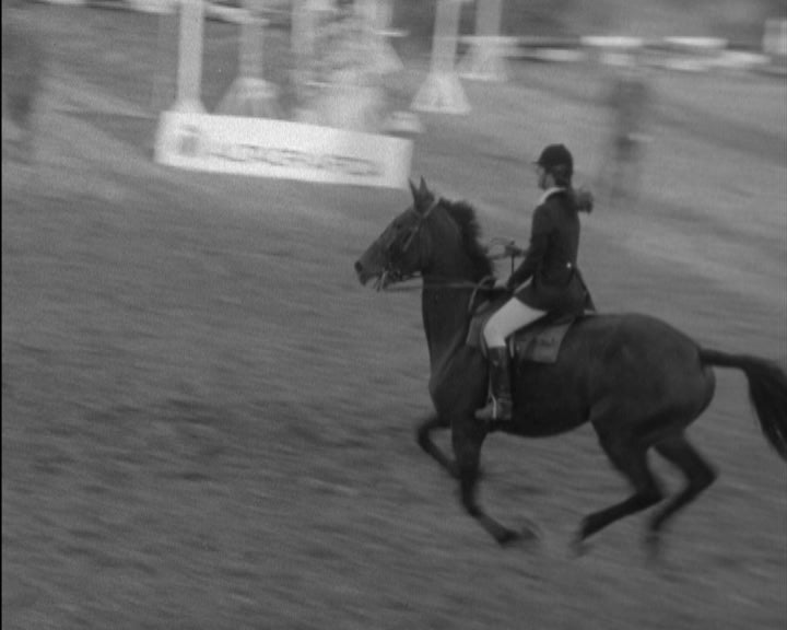 Hipismo: 22º Concurso Hípico Nacional de Mafra