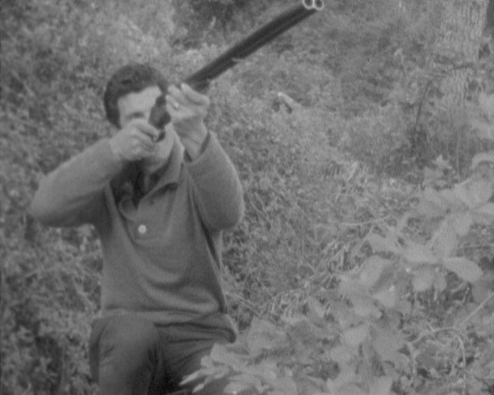 Batida à raposa na Serra de Ota