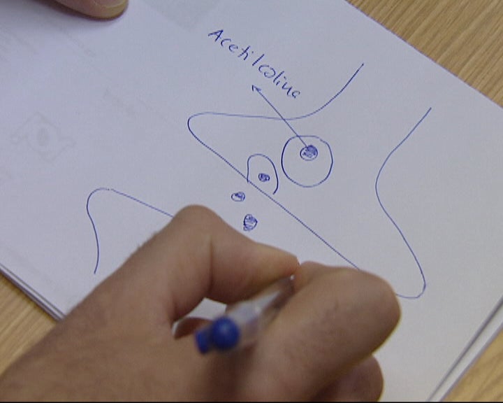 Planta com Poderes Medicinais