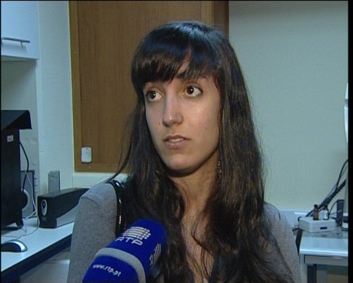 Dia aberto na Universidade