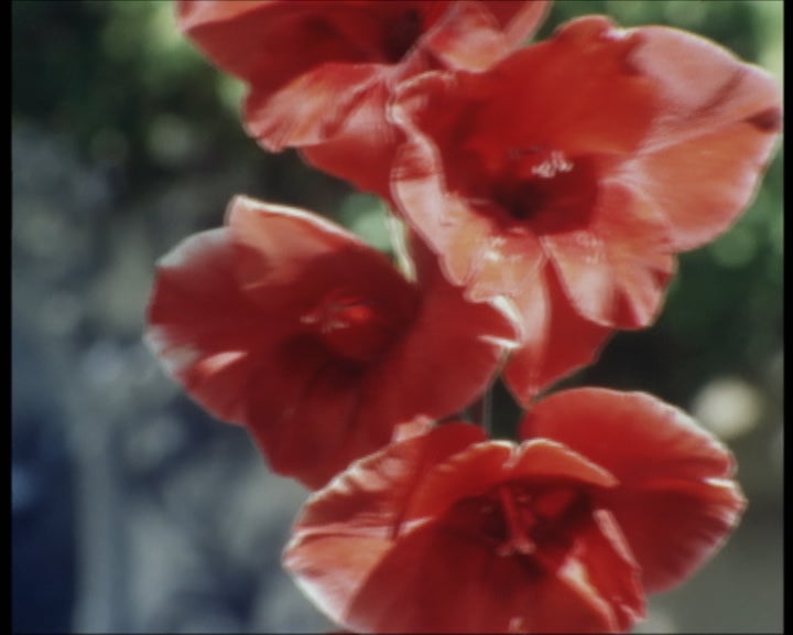 Emigrantes de Castelo Branco