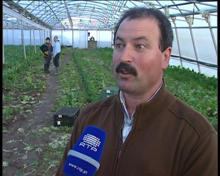 Mau tempo causa estragos na floricultura
