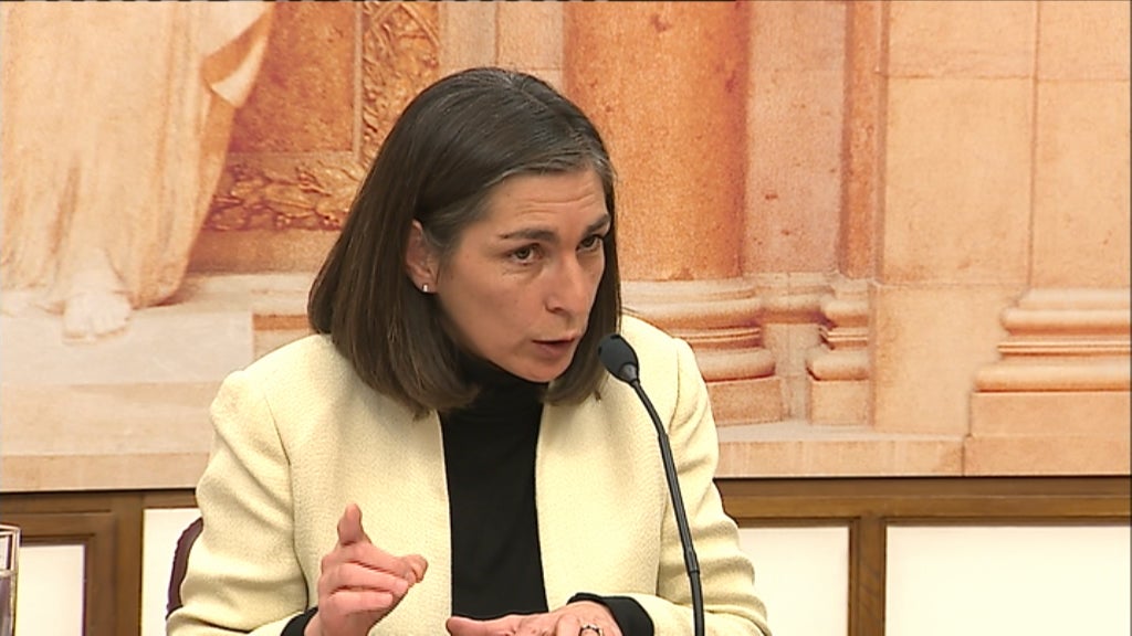 Lei do financiamento dos partidos políticos