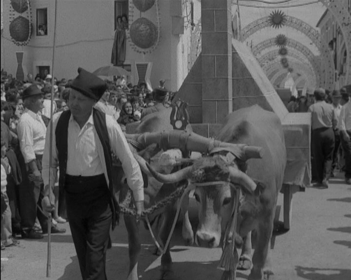 Festejos do 50º aniversário de elevação a sede de freguesia de Riachos