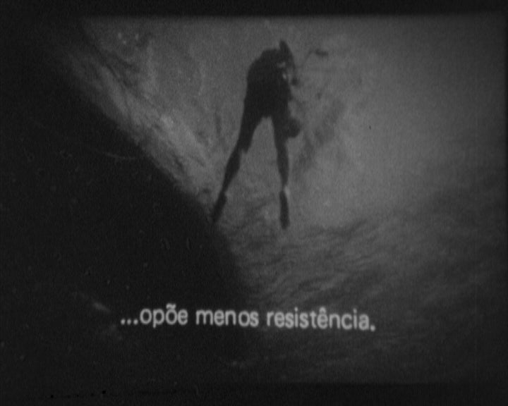 Antestreia de Homens e Tubarões