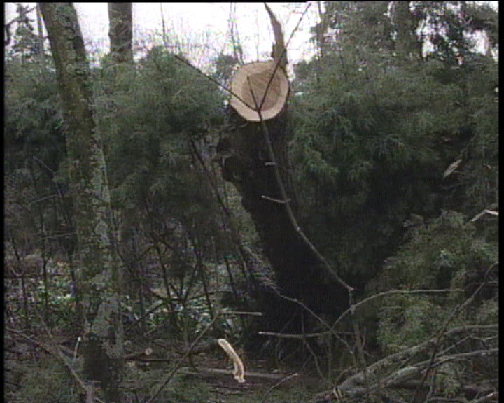 Estragos provocados pelo mau tempo