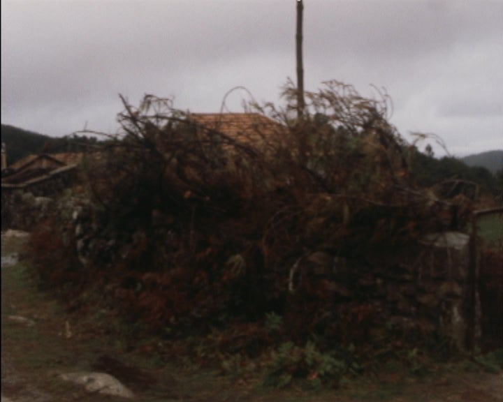 Situação do distrito de Viana do Castelo