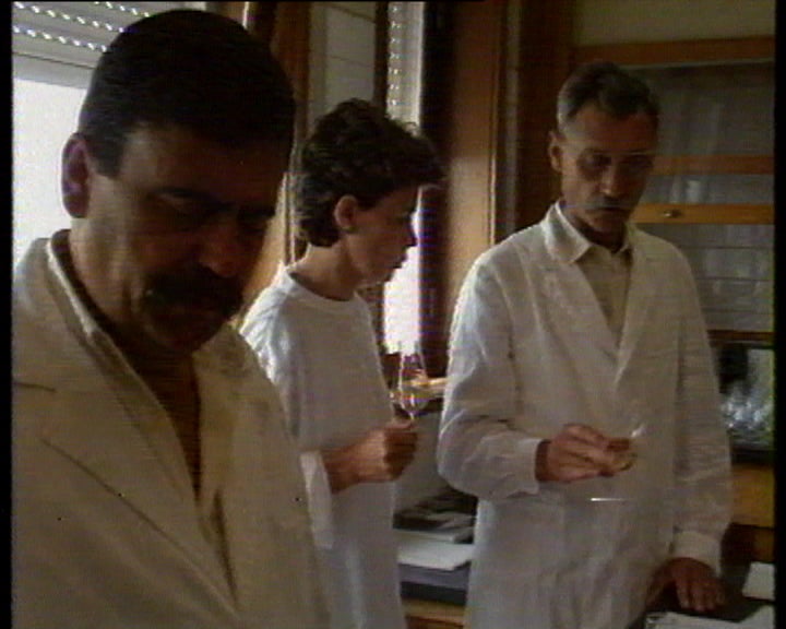 Reunião de júri de concurso de vinhos