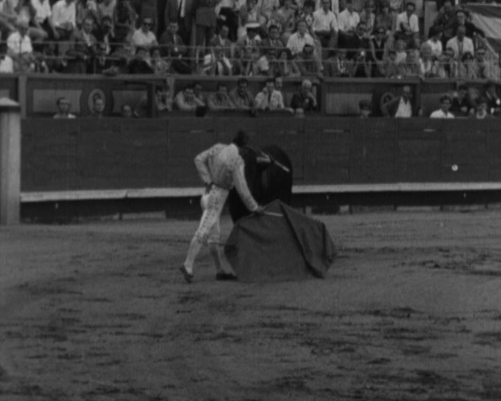 Confirmação da alternativa de Armando Soares