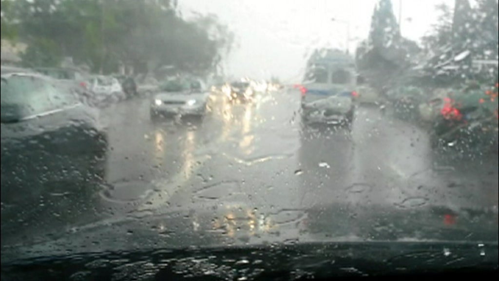 Queda de árvore mata uma pessoa em Ourém