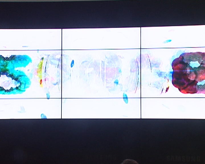 Nova imagem da SONAE