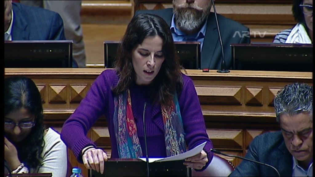 Debate sobre a TDT na AR