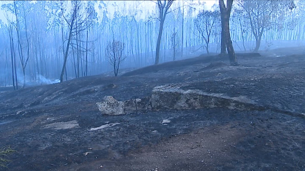 Situação dos incêndios florestais no distrito de Viseu