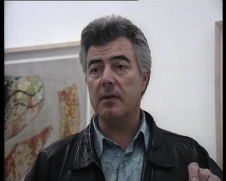 Exposição de José Guimarães