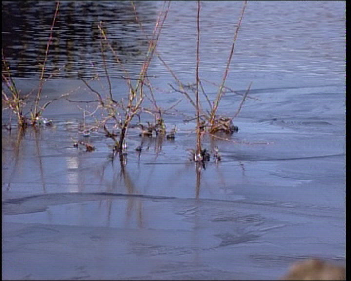 Barragem da Serra Serrada