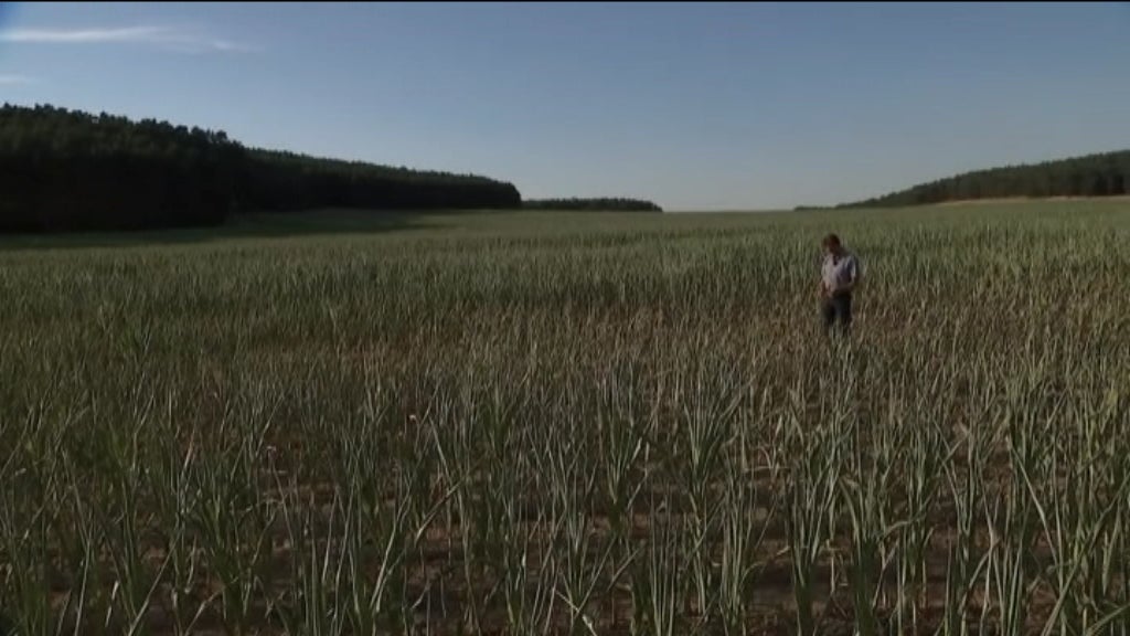 Apoios aos agricultores