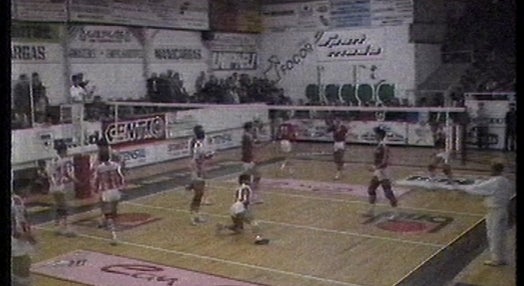 Voleibol: Leixões vs Benfica