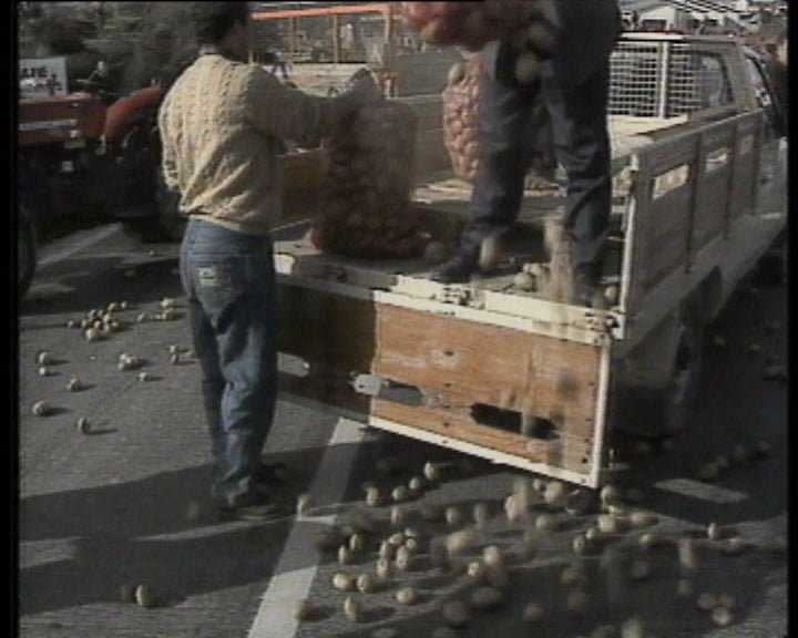 Proteção aos produtos hortícolas nacionais