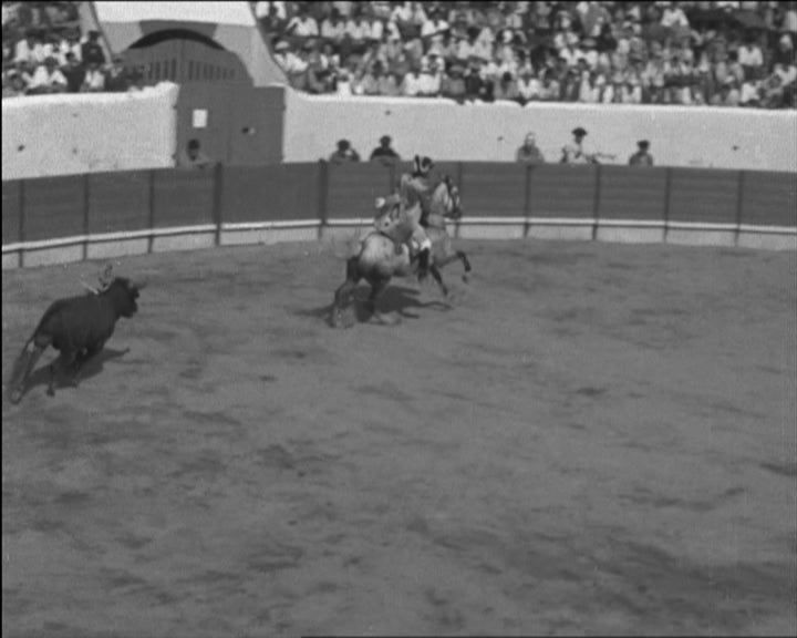 Tourada em Vila Nova da Barquinha