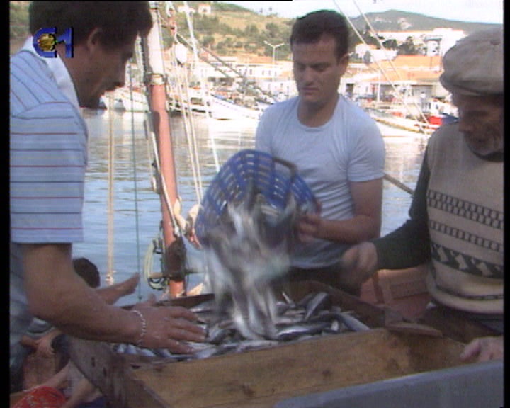 Setor da pesca em Portugal