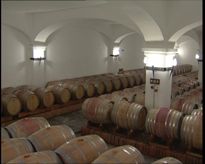 João Portugal Ramos Vinhos