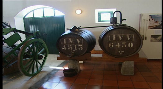 Museu Rural e do Vinho