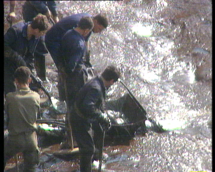 Operações de limpeza em Porto Santo