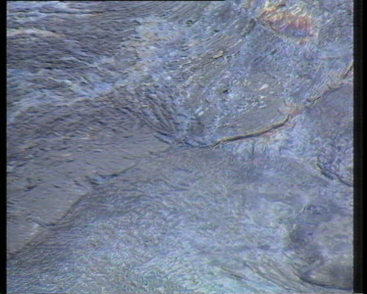 Organização do combate a marés negras em Portugal