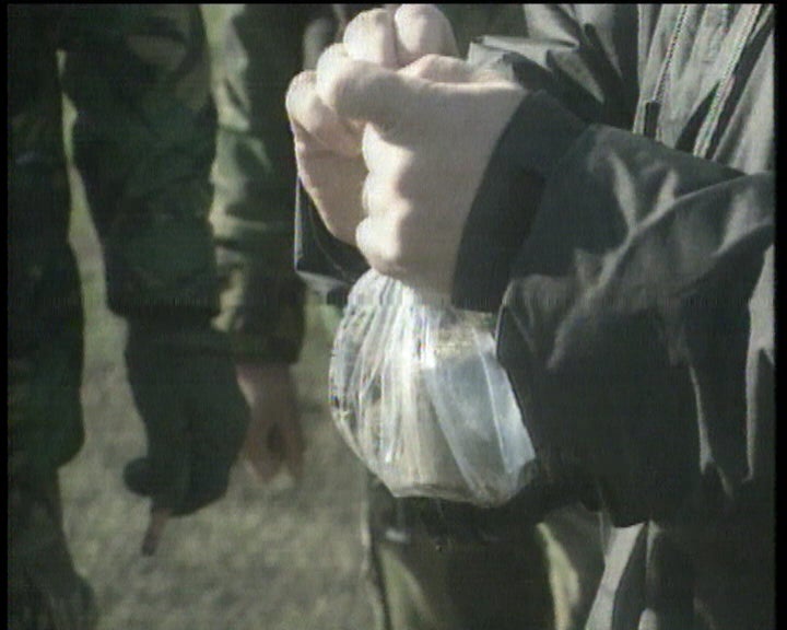 Peritos portugueses em Klina