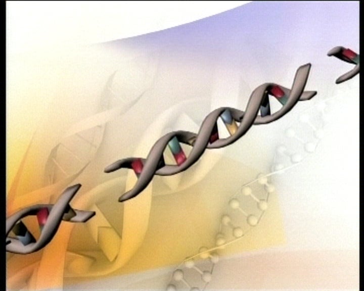 Testes de paternidade