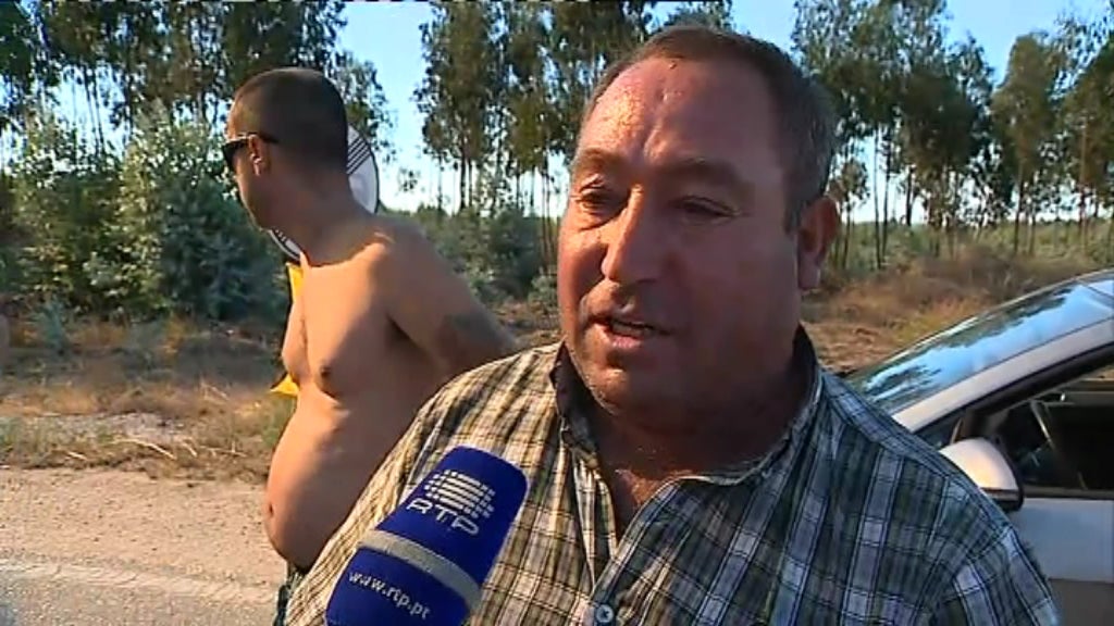 Incêndio florestal em Abrantes