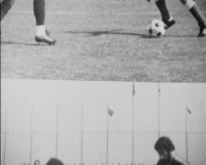 Biografia de Fernando Chalana