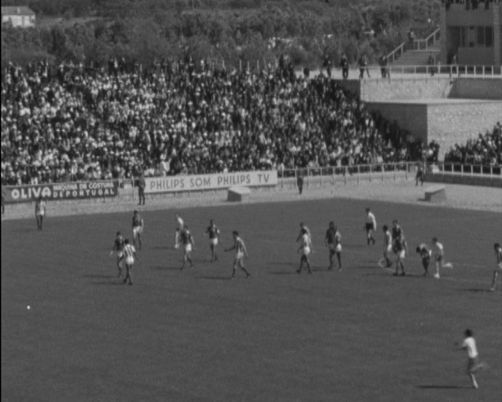 Futebol: Vitória de Setúbal vs Sport Lisboa e Benfica