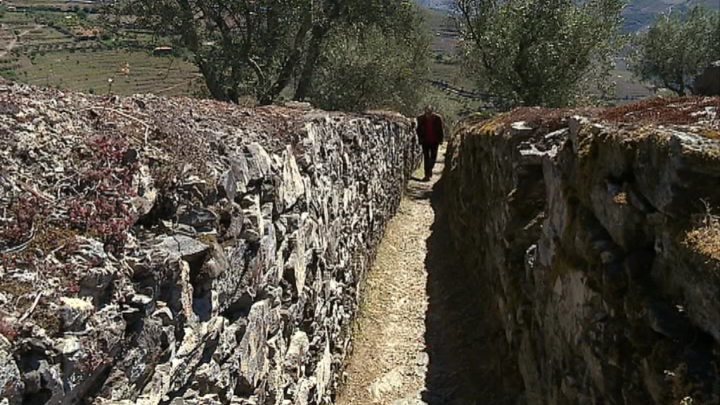 Casa isolada em Peso da Régua
