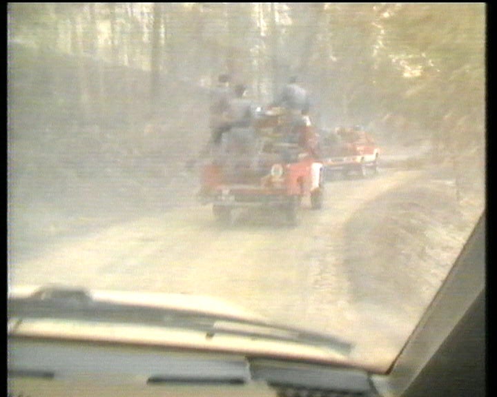 Programa de Reflorestação