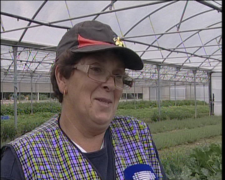 Tailandeses em Portugal