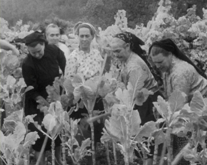 Cantos do Trabalho em Estorãos