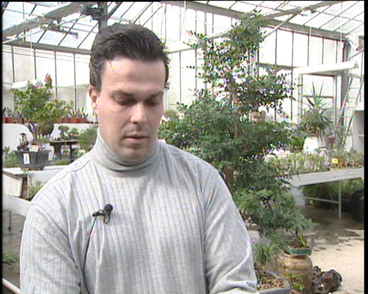 Crónica: A árvore da vida