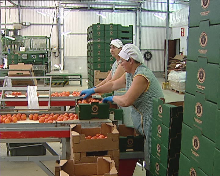 Concertação Social