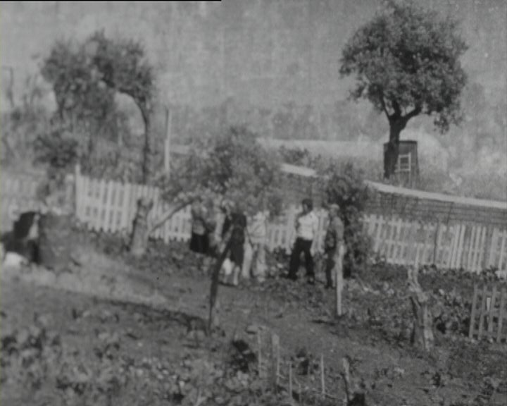 Hortas na Cidade de Lisboa