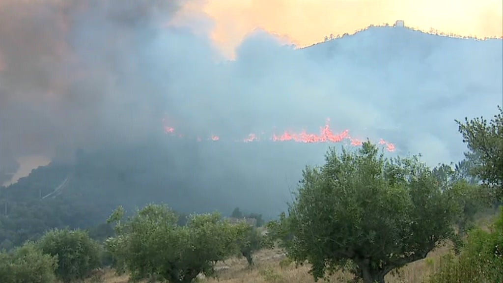 Incêndio florestal em Vila Velha de Ródão