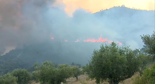 Incêndio florestal em Vila Velha de Ródão