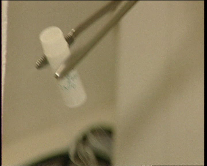 Banco público de óvulos e esperma