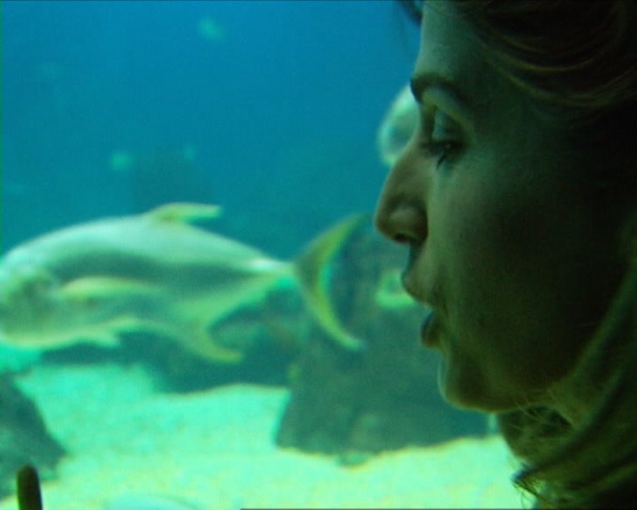 Feridas no mar de Ceilão